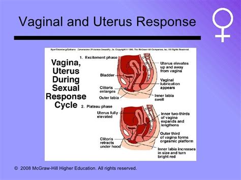 Category : Videos of vaginal sex